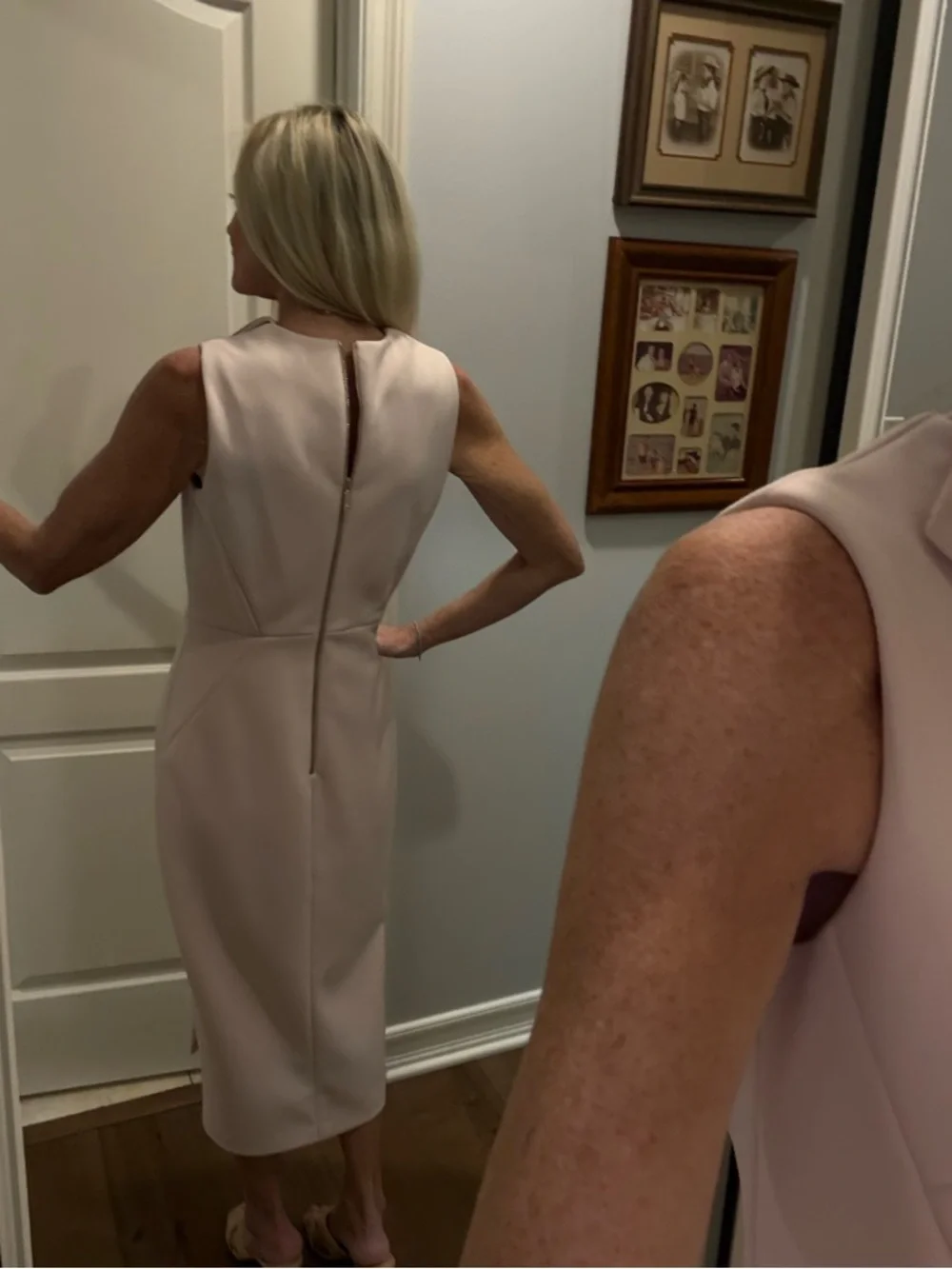Ted Baker Soft Blush Sleeveless Midi Dress - Picture 4 of 11